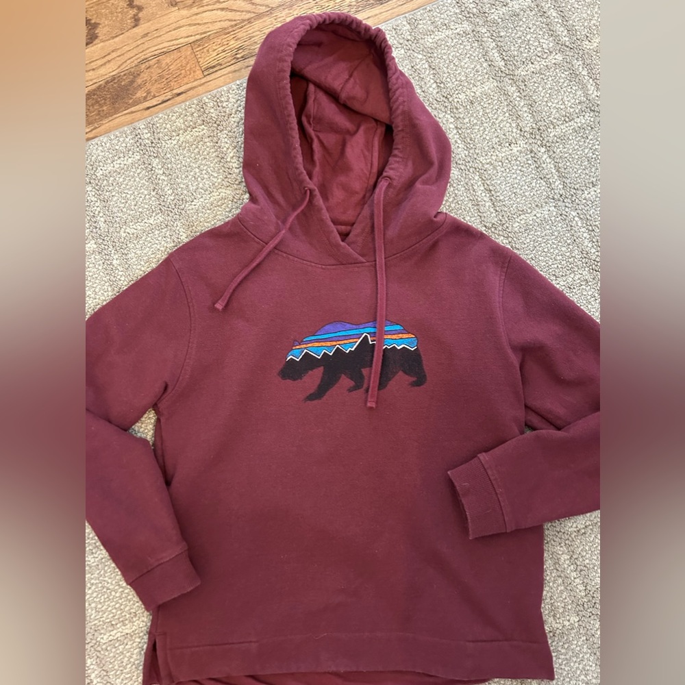 Patagonia Hoodie